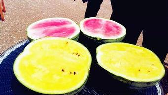 吃瓜爆料每日大瓜网,吃瓜爆料每日大瓜网独家揭秘