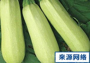 怀孕了吃白瓜,白瓜助力健康孕育