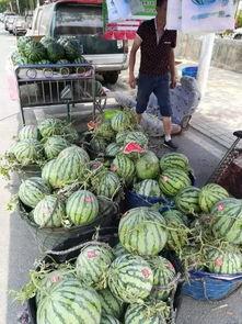 南宁兴安吃瓜事件,一场引发热议的街头冲突纪实