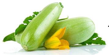 嫩角瓜怎么吃,探索美味与营养的完美结合